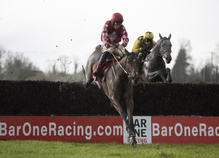 Horse racing with Mighty Potter